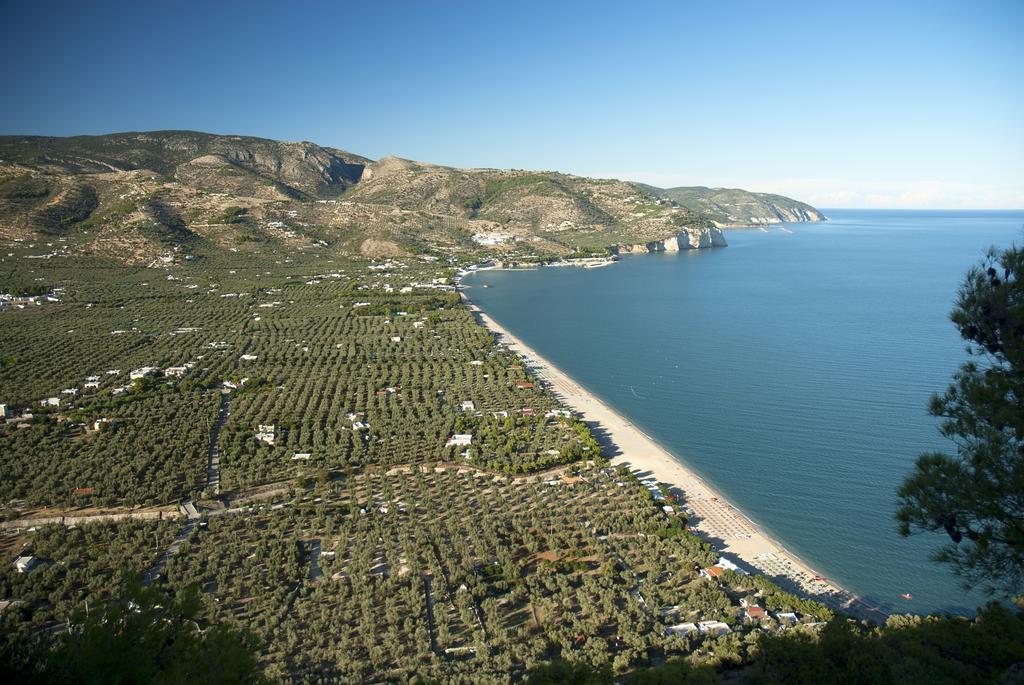 Hotel Apeneste Mattinata Dış mekan fotoğraf